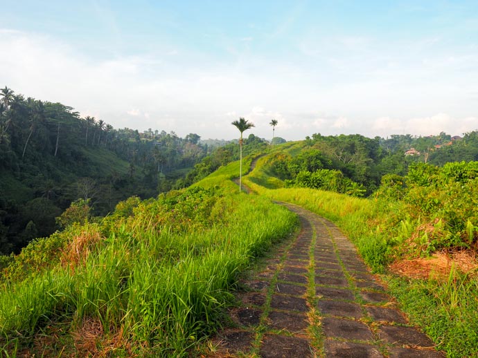 How to Get to the Campuhan Ridge Walk Ubud And What to Expect